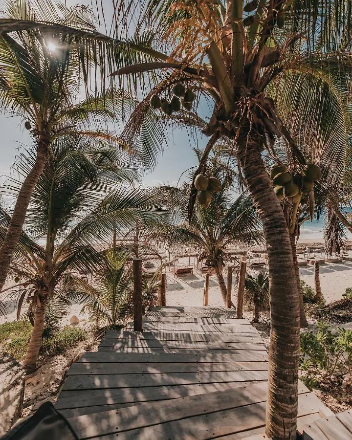 Papaya Playa Project, Tulum, A Member Of Design Hotels 5*,  Mexico
