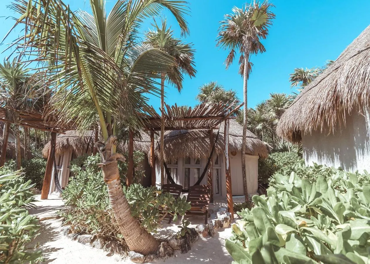 Papaya Playa Project A Member Of Design Hotels Tulum