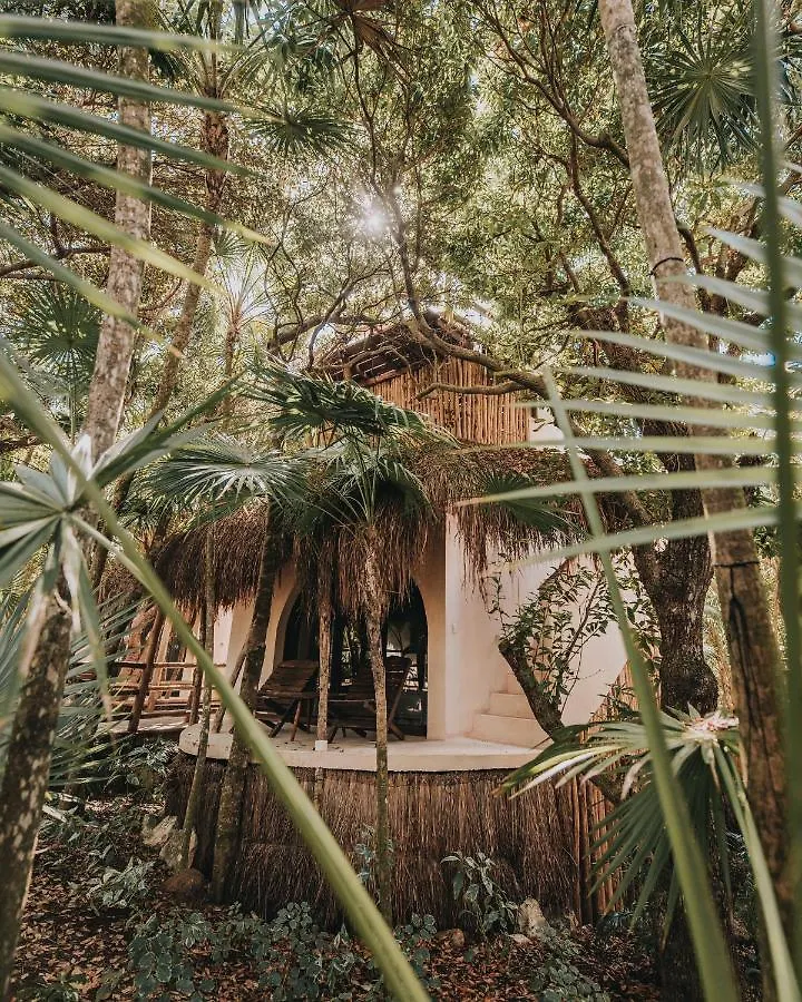 Papaya Playa Project, Tulum, A Member Of Design Hotels 5*, Tulum Mexico