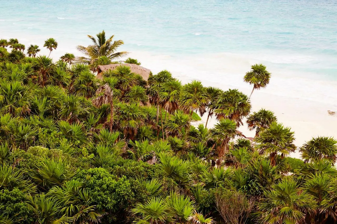 Papaya Playa Project, Tulum, A Member Of Design Hotels